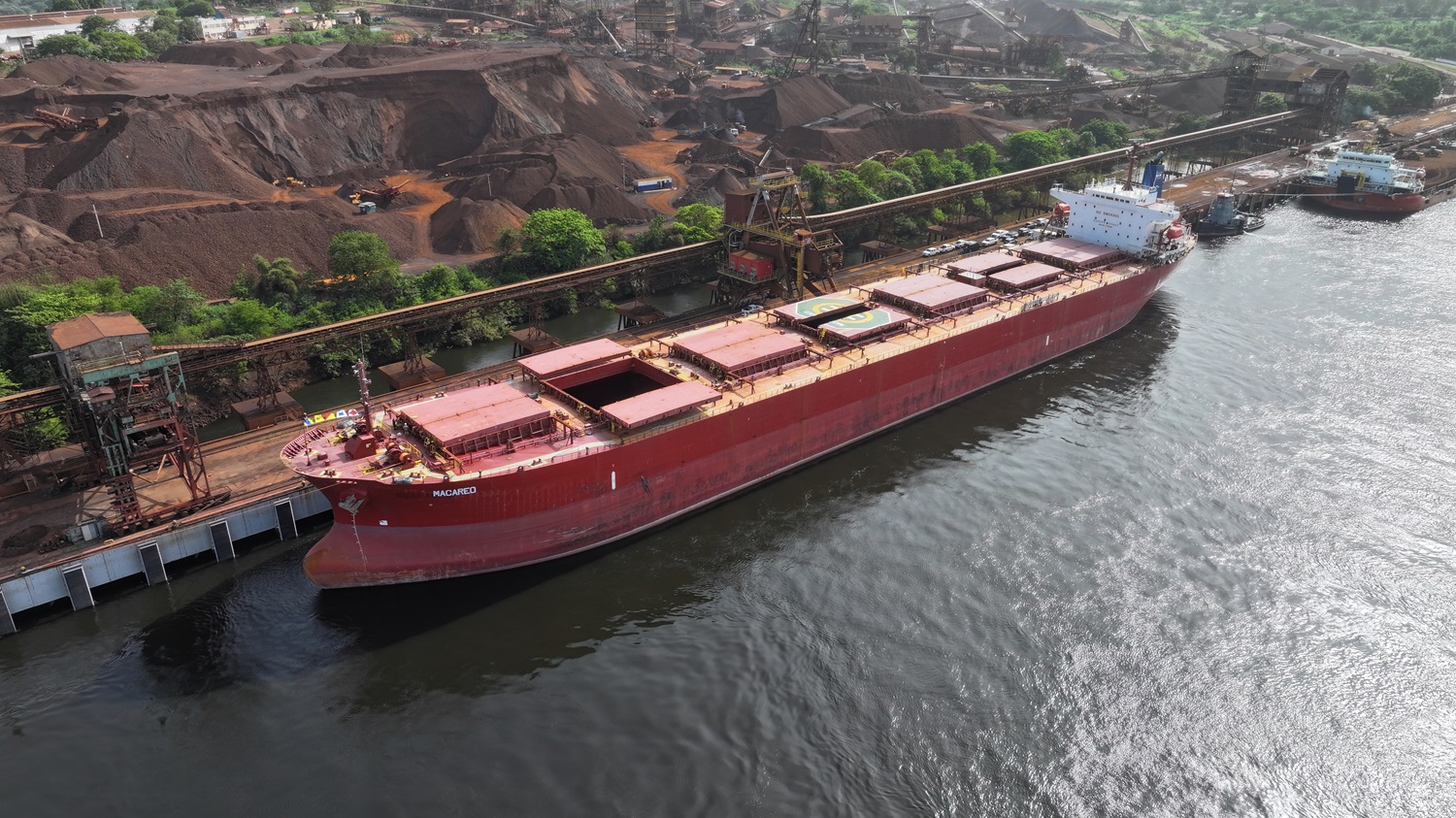 Incremento de flota Bulk Carrier garantiza conexión con más puertos internacionales